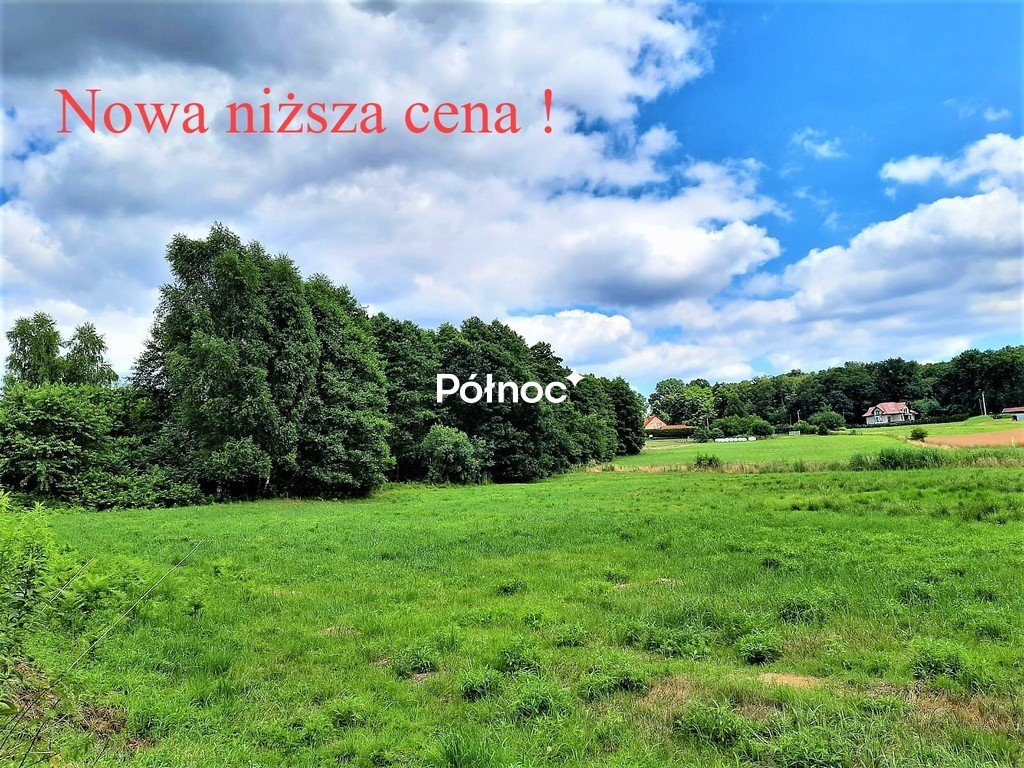 Działka rolna 5045 m² z dobrym dojazdem i spokojem Skrzyszów  5 045m2 Foto 1