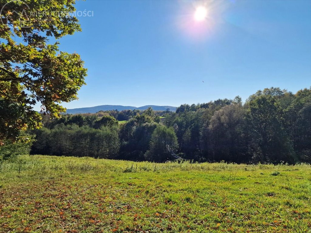 Działka budowlana na sprzedaż Błażkowa  2 559m2 Foto 1