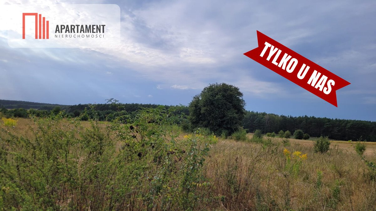 Działka budowlana na sprzedaż Kruszyn  1 000m2 Foto 1