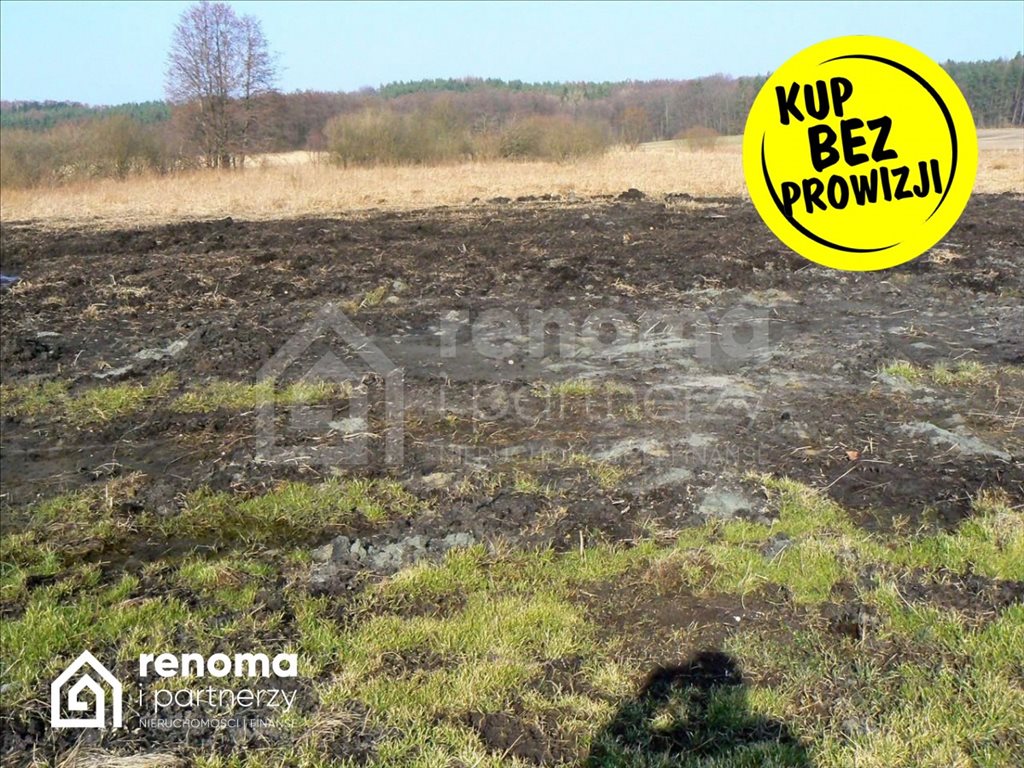 Działka 19 400 m² w Gorzycy – idealna na rekreację! Gorzyca  19 400m2 Foto 1