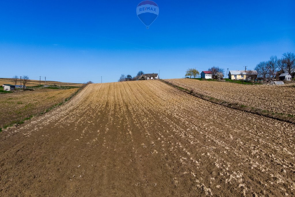 Działka budowlana na sprzedaż Wawrzeńczyce  8 780m2 Foto 3