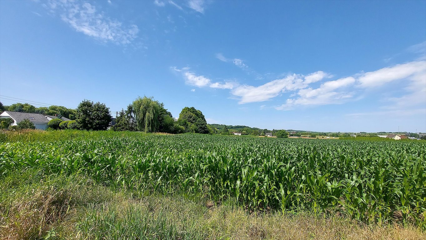 Zapraszam do zakupu działki pod osiedle domów jednorodzinnych Piekary Śląskie, Kozłowa Góra, Pod Gajem  30 931m2 Foto 1
