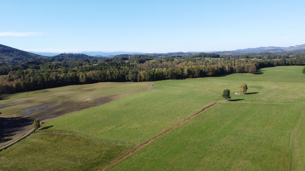 Działka budowlana na sprzedaż Janowice Wielkie  2 000m2 Foto 7