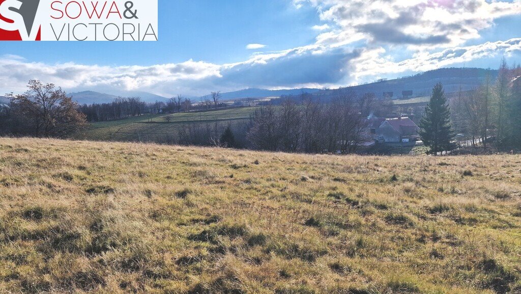 Działka budowlana na sprzedaż Zagórze Śląskie  2 100m2 Foto 3