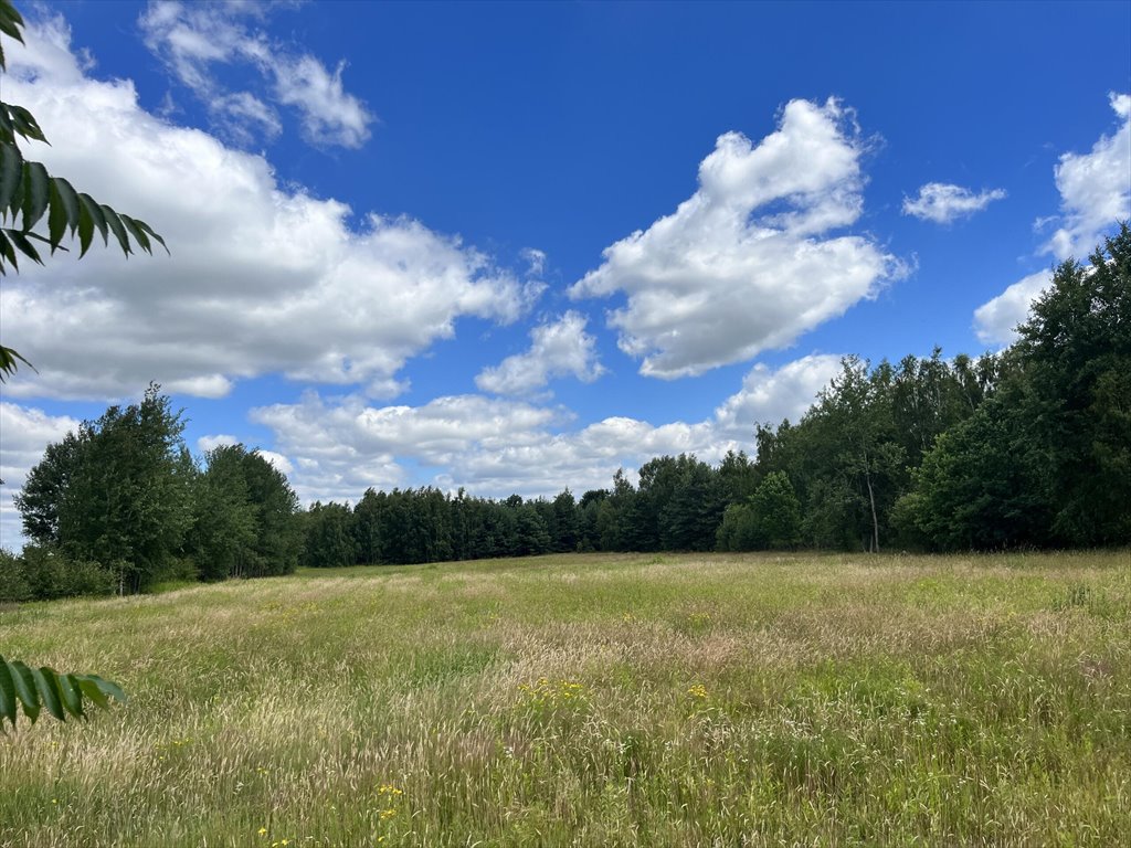 Działka budowlana na sprzedaż Helenów, 100-lecia  7 765m2 Foto 3