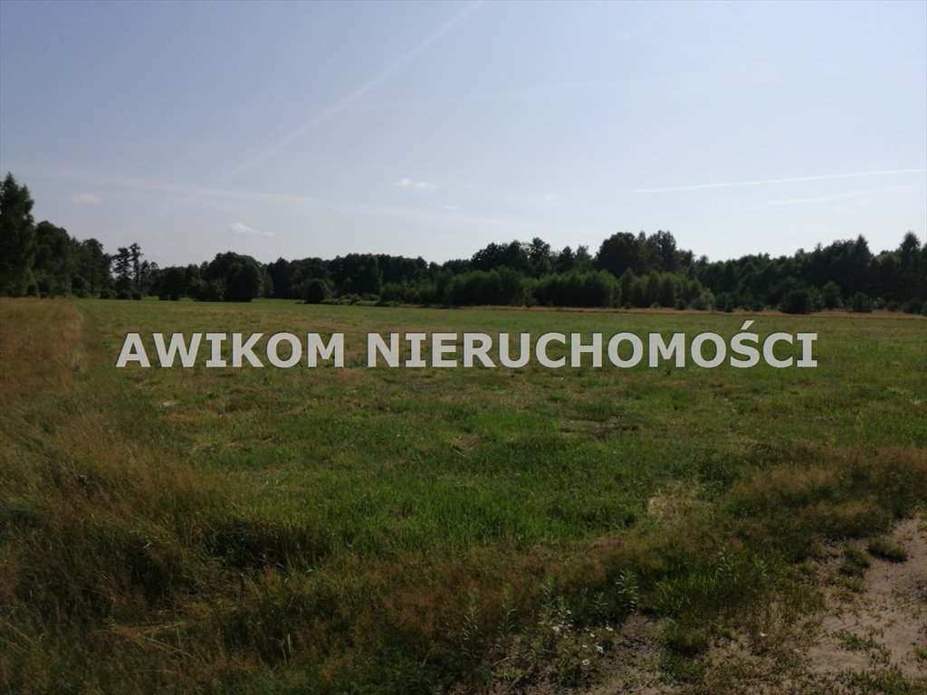 Do sprzedania działka siedliskowa 1,1 ha z lasem w Radziejowicach Radziejowice, Stare Budy Radziejowskie  11 000m2 Foto 1