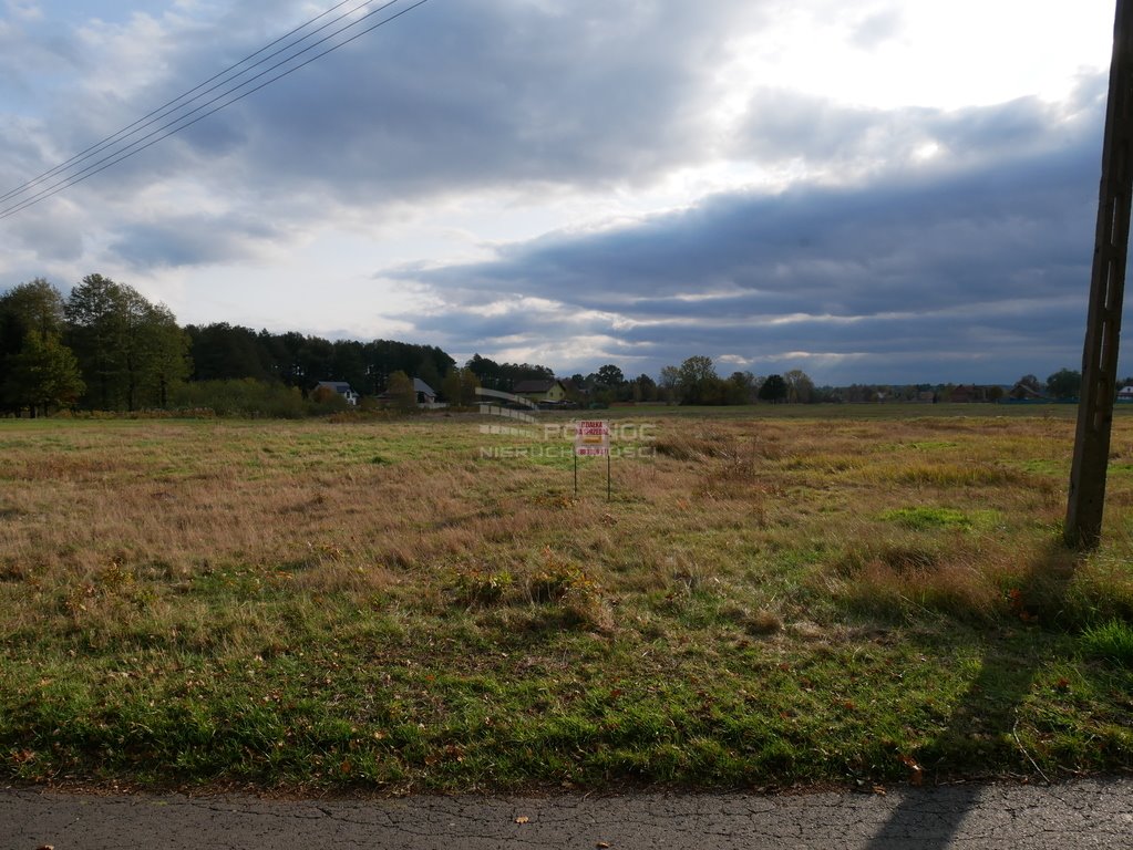 Działka budowlana na sprzedaż Zagajnik  17 010m2 Foto 14