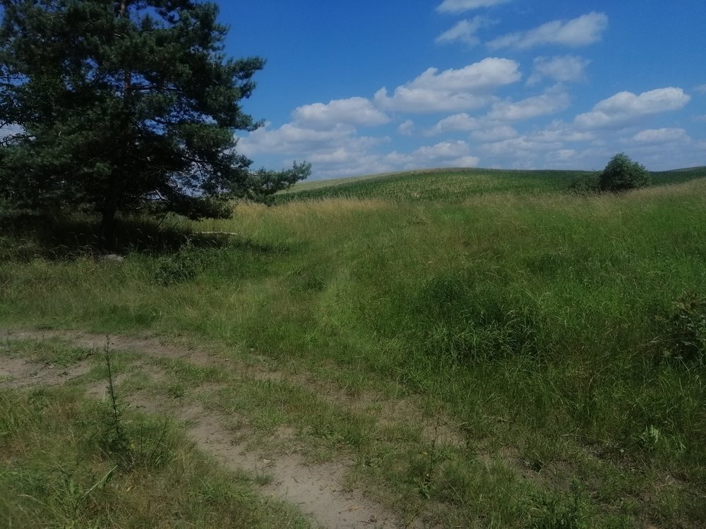 Działka rekreacyjna na sprzedaż Chłopowo  3 000m2 Foto 7