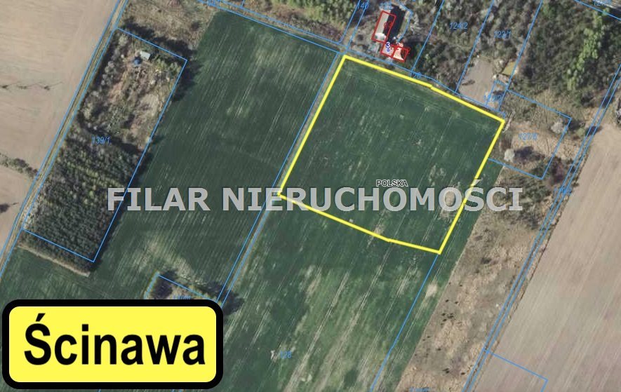 Działka inna na sprzedaż Ścinawa  13 750m2 Foto 1