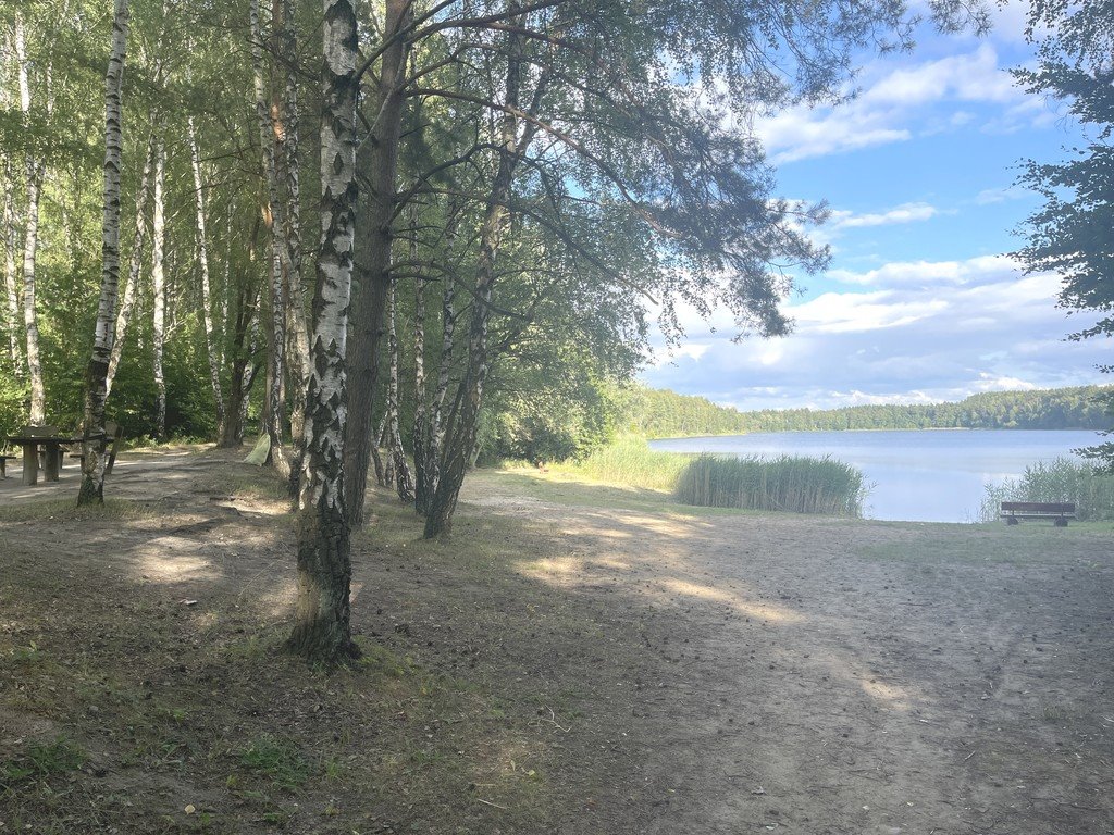 Mieszkanie dwupokojowe na wynajem Czarnogłowy, Dąbrowskiego  60m2 Foto 13