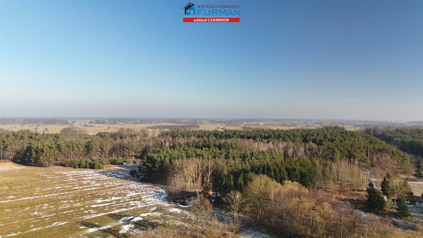 Duża działka pod dom w otoczeniu lasów, blisko Krzyża Wielkopolskiego Lubcz Wielki  3 264m2 Foto 1