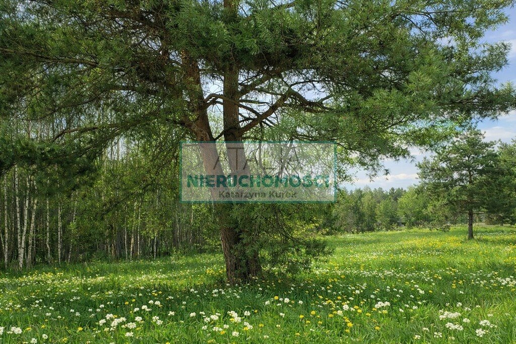 Działka 2000 m² z planem zagospodarowania i mediami - blisko lasów Zalesie  2 000m2 Foto 1