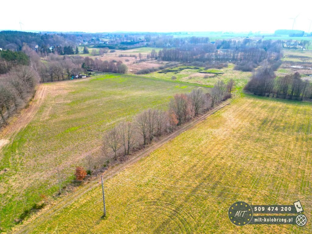 Działka budowlana na sprzedaż Nieżyn  4 800m2 Foto 4