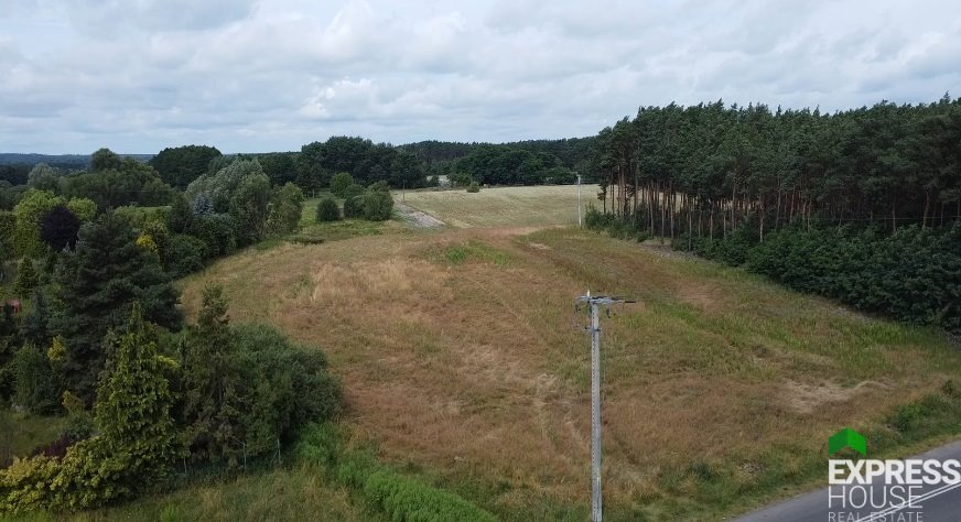 Działka inwestycyjna na sprzedaż Brójce, Sportowa  8 981m2 Foto 1