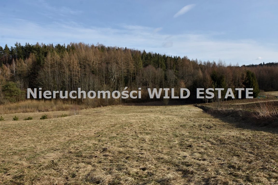 Działka budowlana 30 ar z warunkami zabudowy, blisko lasu Solina, Bereżnica Wyżna  3 014m2 Foto 1