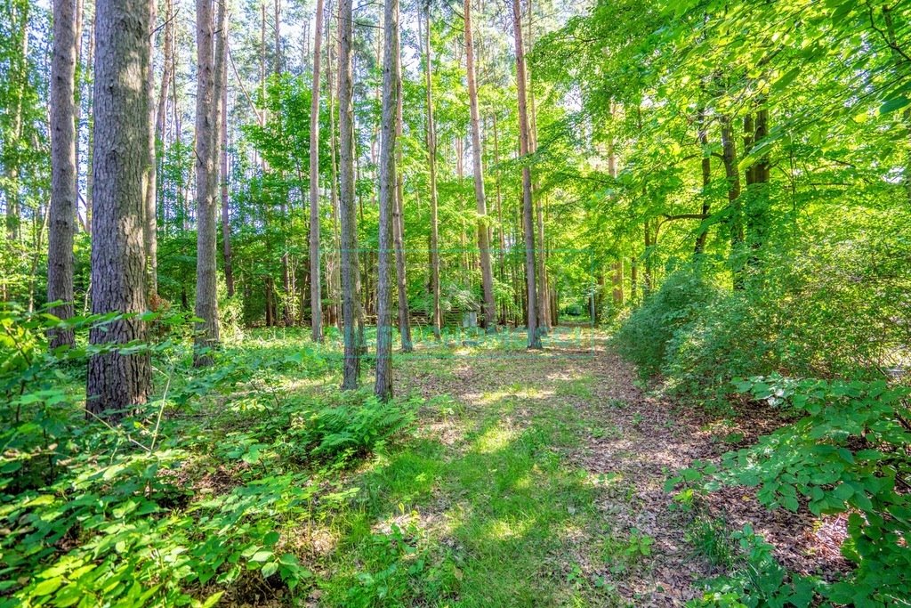 Działka budowlana na sprzedaż Adamów-Wieś  4 200m2 Foto 3