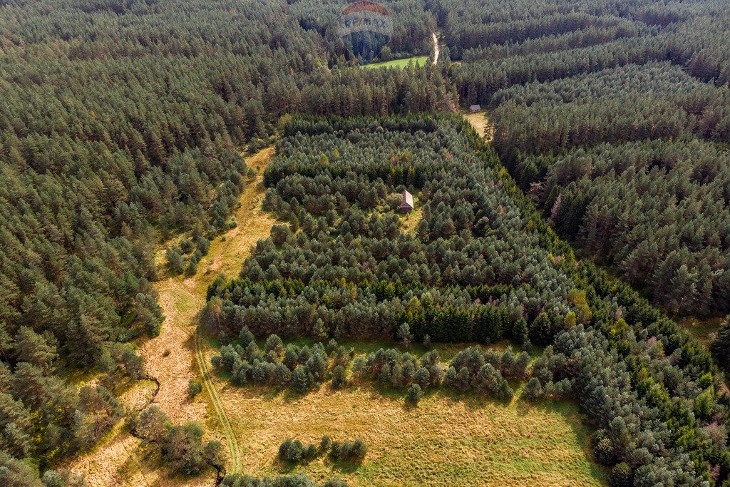 Działka rolna na sprzedaż Jabłonka, Leśna  20 000m2 Foto 9