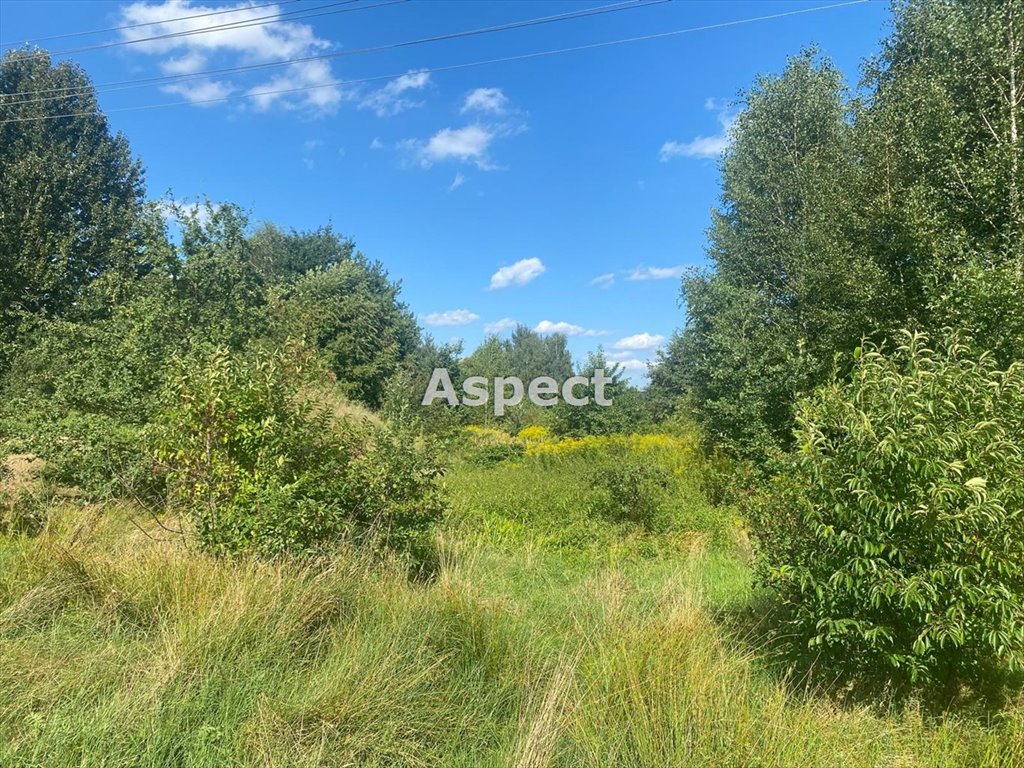 Działka budowlana na sprzedaż Żory, Kradziejówka  4 234m2 Foto 1