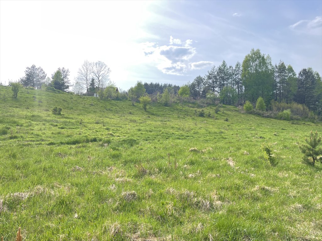 Działka budowlana na sprzedaż Koleczkowo, Bitwy Nad Ślężą  2 551m2 Foto 7