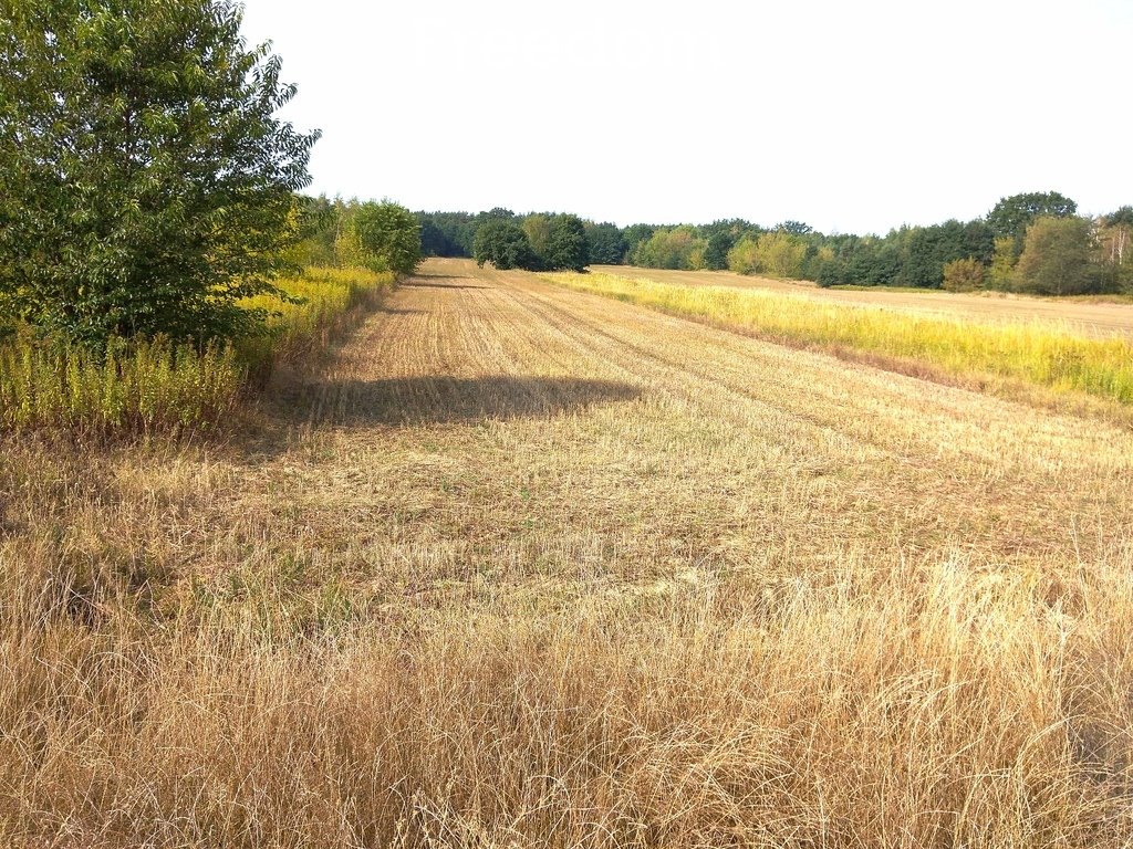 Działka inwestycyjna na sprzedaż Wygoda  1 885m2 Foto 16