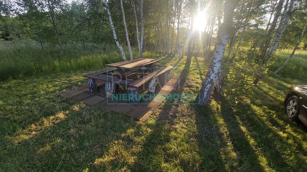 Działka budowlana na sprzedaż Radonie  3 000m2 Foto 5