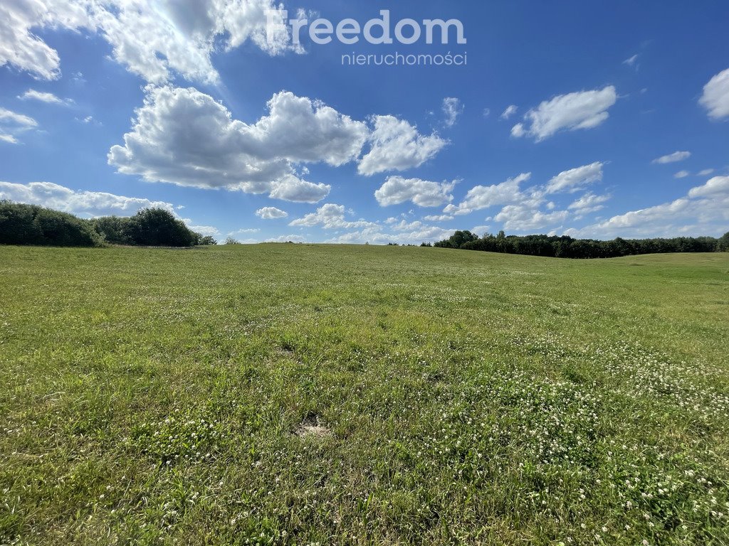 Działka budowlana na sprzedaż Mątki  4 200m2 Foto 6