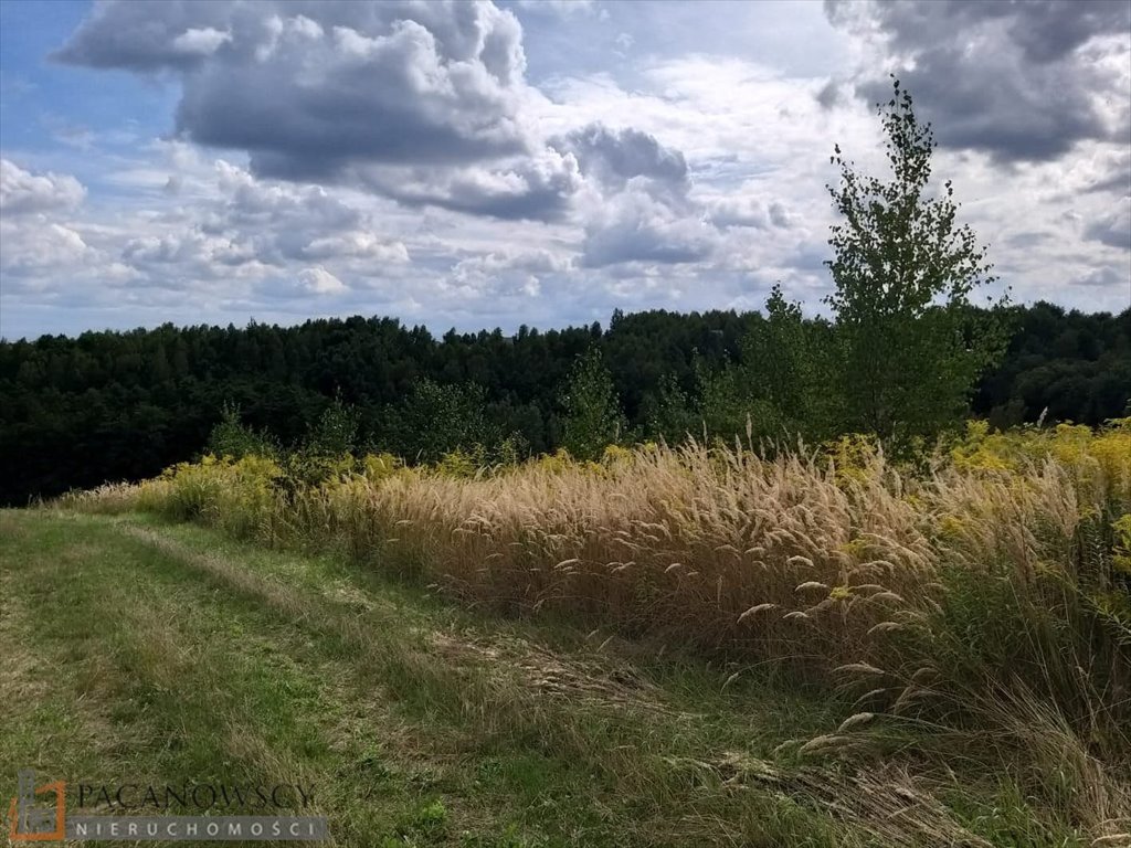 Działka rolna 1,17 ha z mediami i widokami - polecam! Michałowice  11 701m2 Foto 1