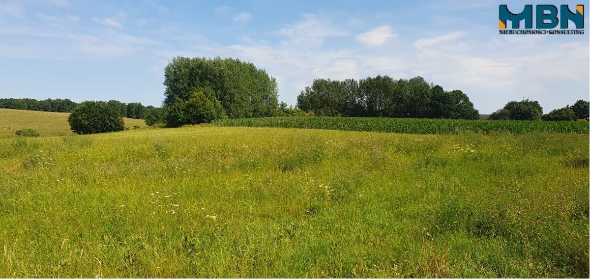 Działka rolna na sprzedaż Stręgielek, Stręgielek  3 035m2 Foto 2