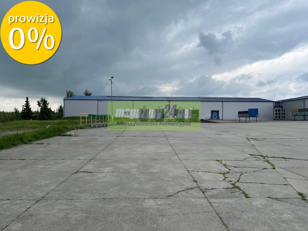 Magazyn na wynajem Grójec  3 400m2 Foto 15