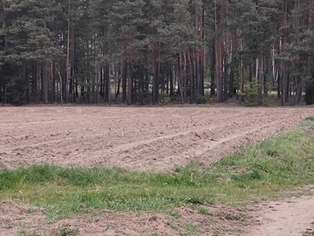 Działka budowlana na sprzedaż Trypucie  1 290m2 Foto 1