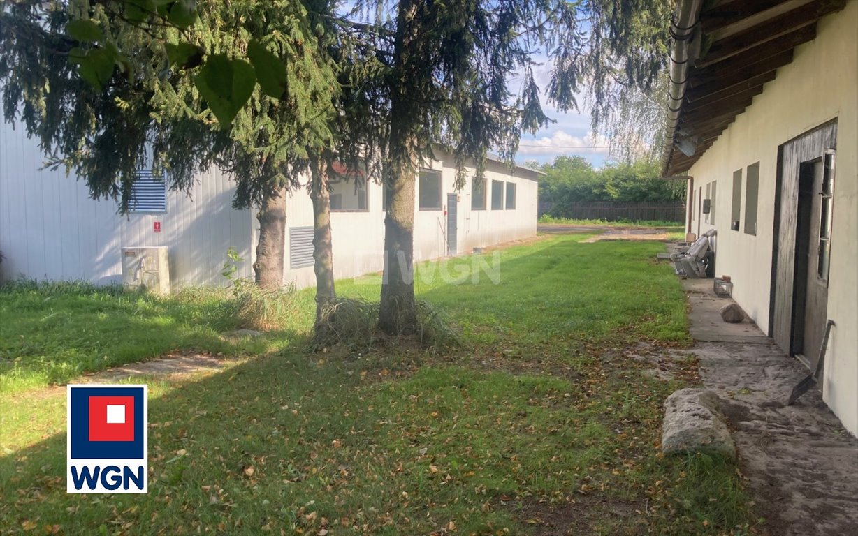 Lokal użytkowy na wynajem Kwiatków, Kwiatków  800m2 Foto 5