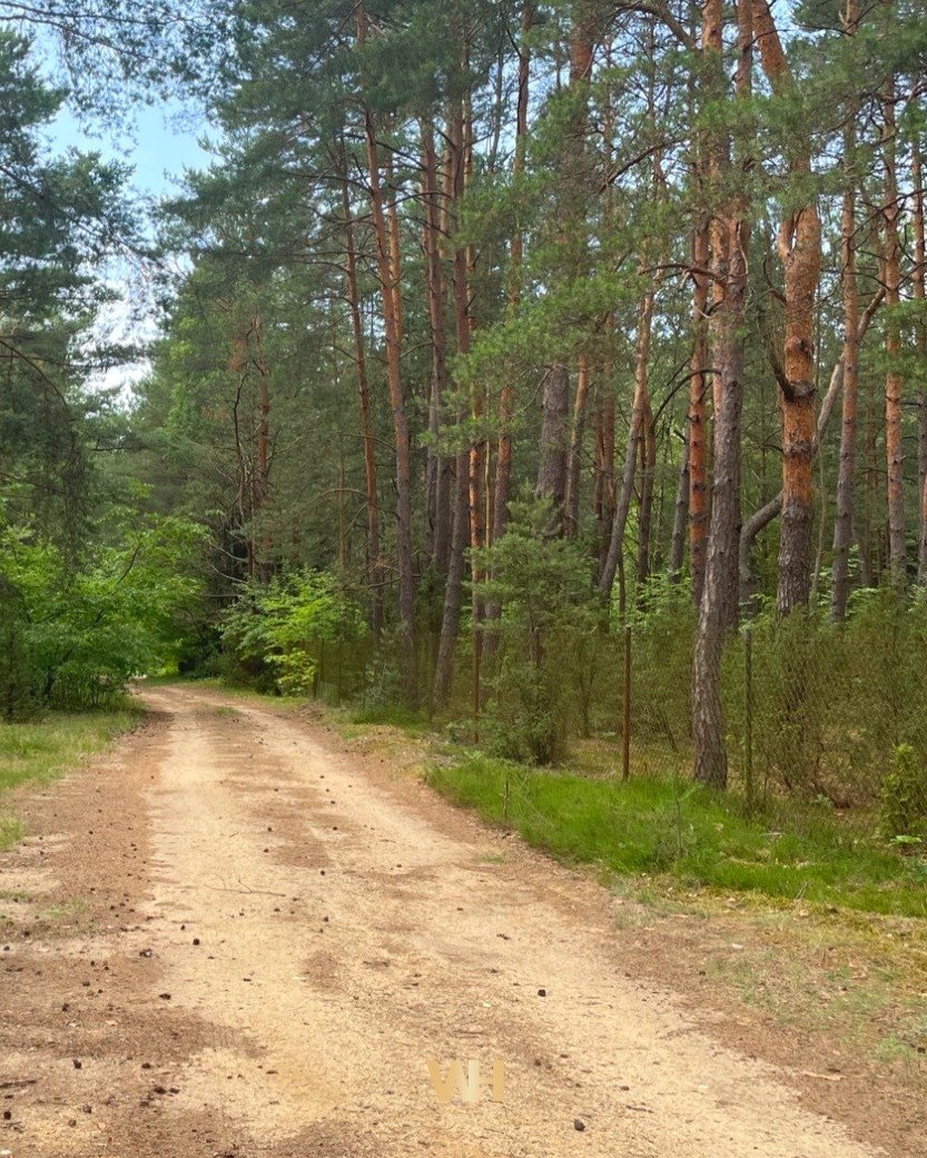 Działka budowlana na sprzedaż Somianka  3 509m2 Foto 1