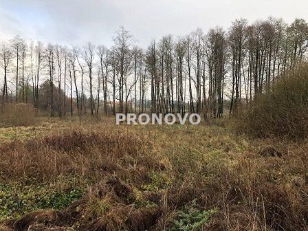 Działka 3000m² z dostępem do rzeki i lasami w Dominikowie Dominikowo  3 000m2 Foto 1