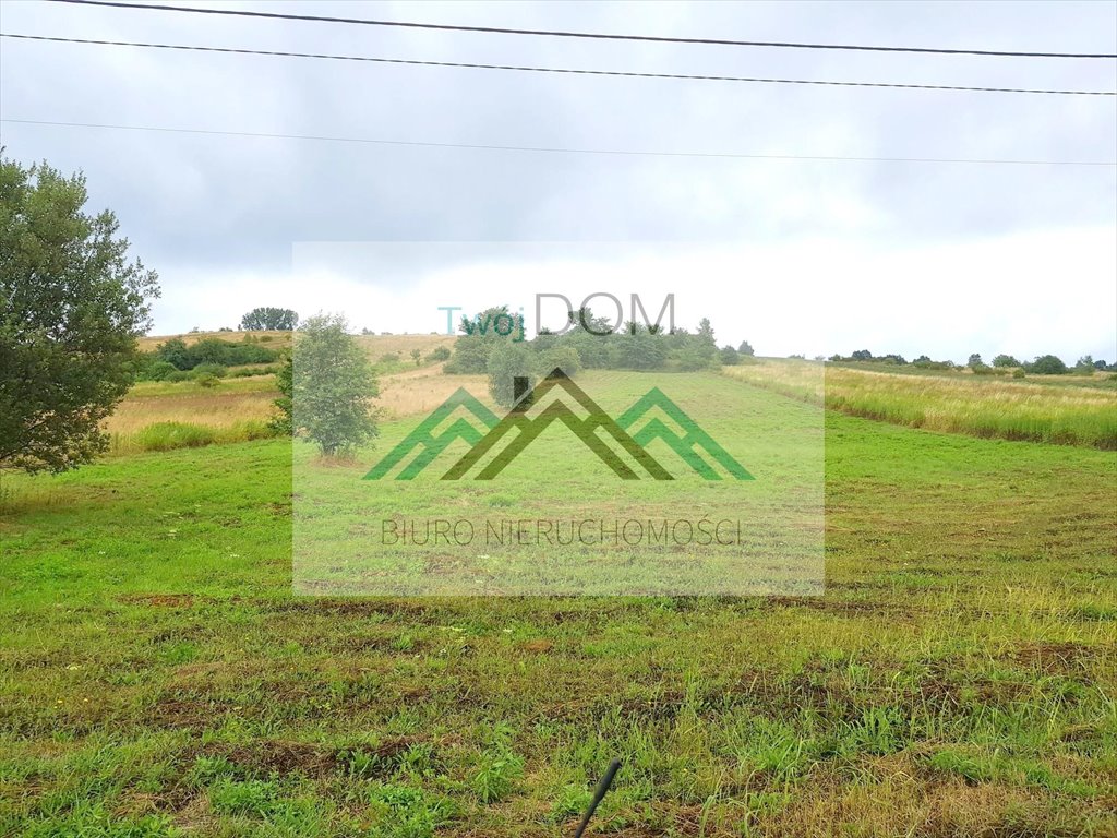 Działka produkcyjno-usługowa 6038 m² przy DK94, atrakcyjna cena Krzykawa  6 038m2 Foto 1