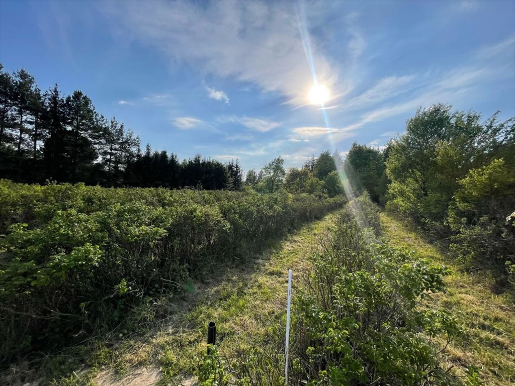 Działka budowlana na sprzedaż Podkampinos, Jagodowa  1 845m2 Foto 1