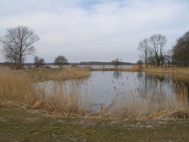 Dom na sprzedaż Kamień Pomorski  700m2 Foto 14