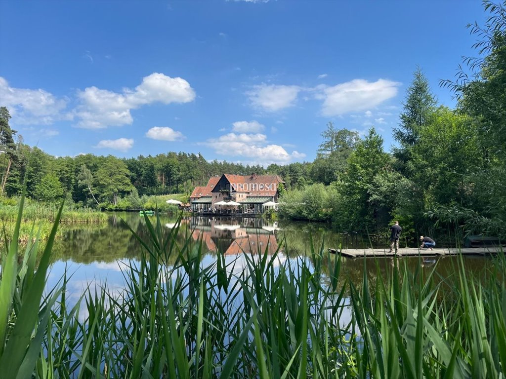 Działka inna na sprzedaż Ostrowina, Aleja Lipowa  3 371m2 Foto 17