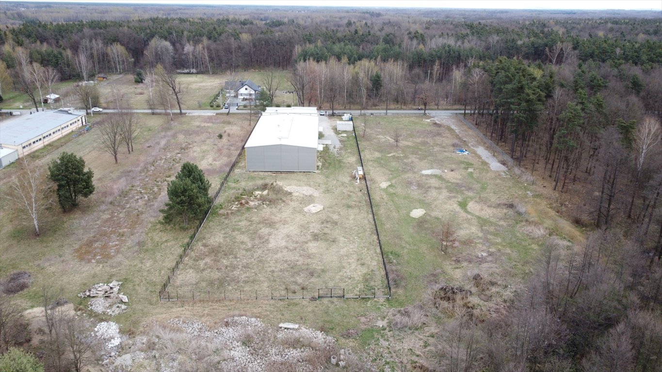 Lokal użytkowy na sprzedaż Dąbrówka  1 173m2 Foto 12