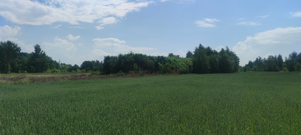 Działka budowlana na sprzedaż Borzęcin Mały  1 000m2 Foto 7