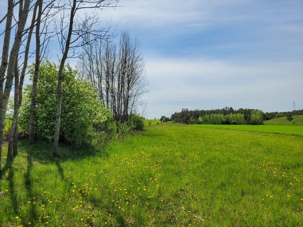 Działka budowlana na sprzedaż Osowa  18 700m2 Foto 5