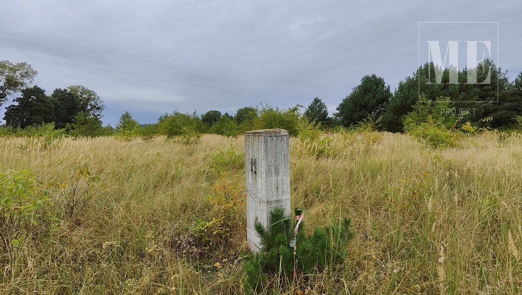 Działka rolna na sprzedaż Rurzyca  1 117m2 Foto 4