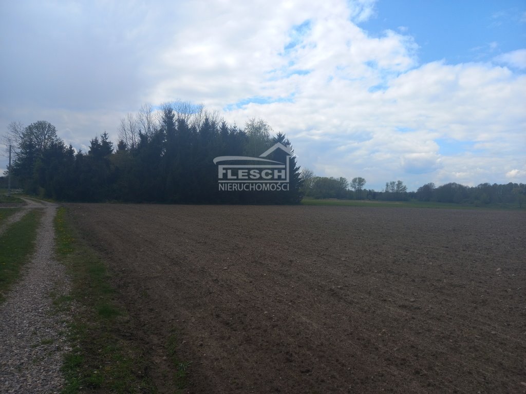 Działka budowlana na sprzedaż Lisówek  15 000m2 Foto 17