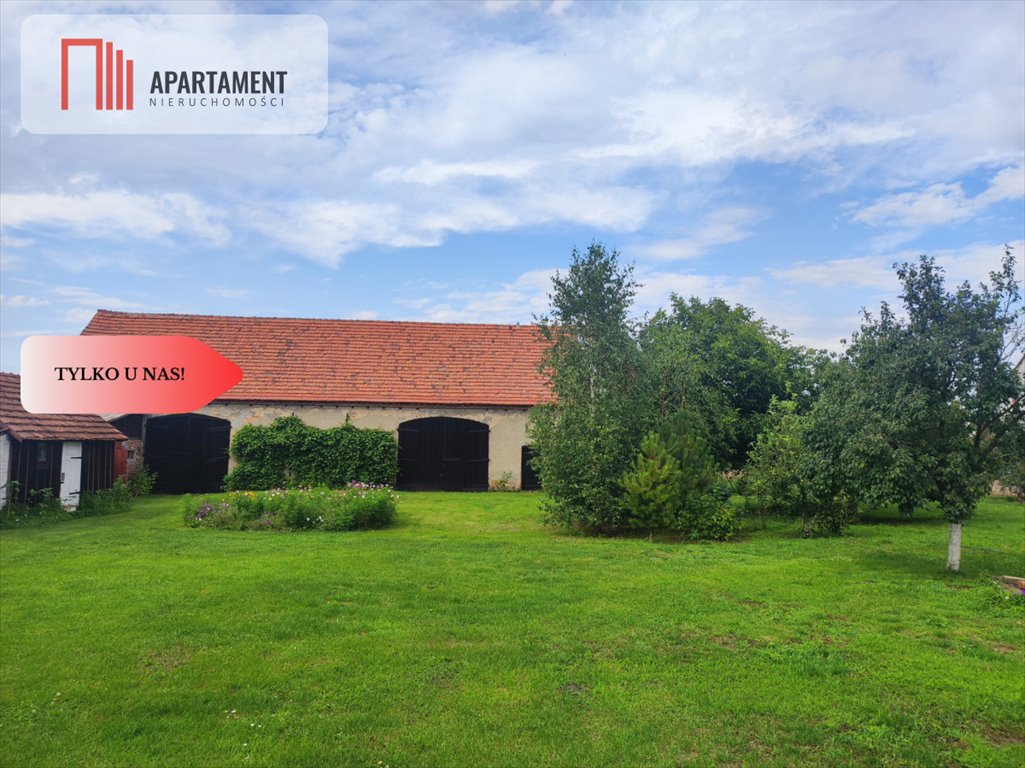 Działka rolna z budynkiem gospodarczych 8,5 ha w Lubielu Lubiel  8 500m2 Foto 1