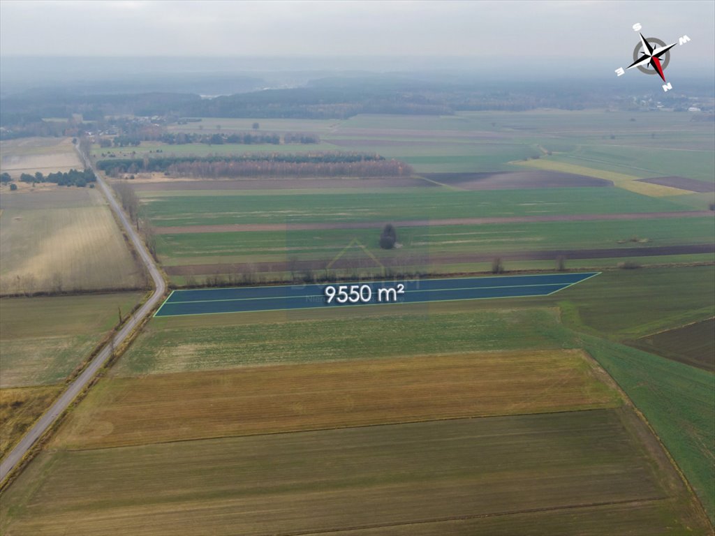 Działka rolna na sprzedaż Jedlno Pierwsze  9 550m2 Foto 2