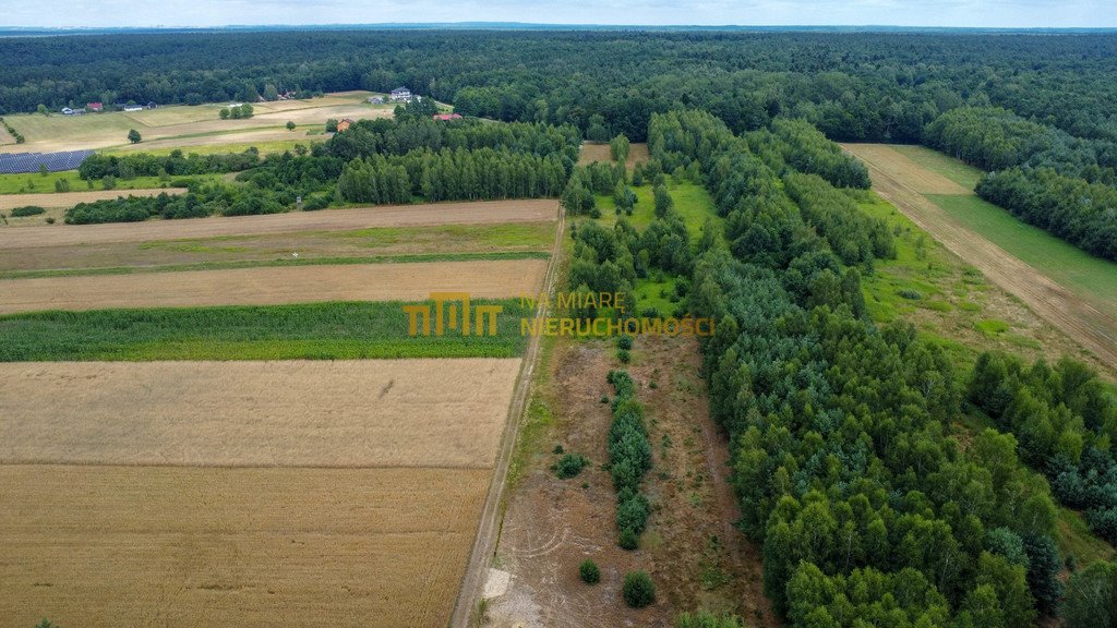 Działka budowlana na sprzedaż Kłoda, Brzozowa  1 783m2 Foto 3