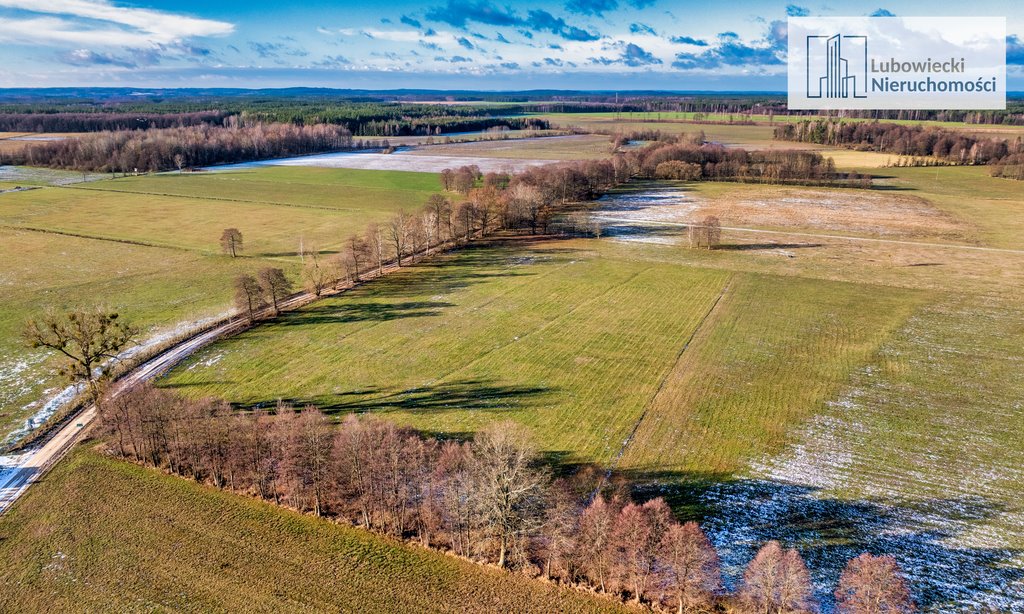 Działka budowlana na sprzedaż Wyżegi  1 794m2 Foto 5