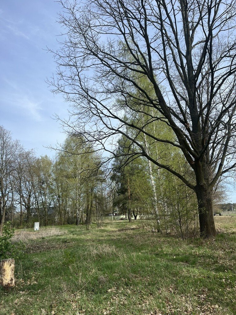 Działka budowlana na sprzedaż Milanówek, Polesie  1 302m2 Foto 1