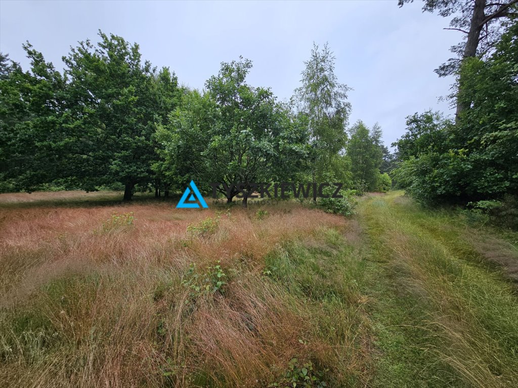 Urokliwa działka leśna 3003 m² blisko plaży w Chłapowie Chłapowo  3 003m2 Foto 1