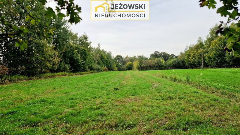 Działka budowlana na sprzedaż Kazimierz Dolny  3 378m2 Foto 7