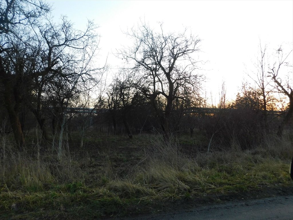 Działka pod inwestycję 3 000 m² przy terenach przemysłowych Zduńska Wola  3 053m2 Foto 1